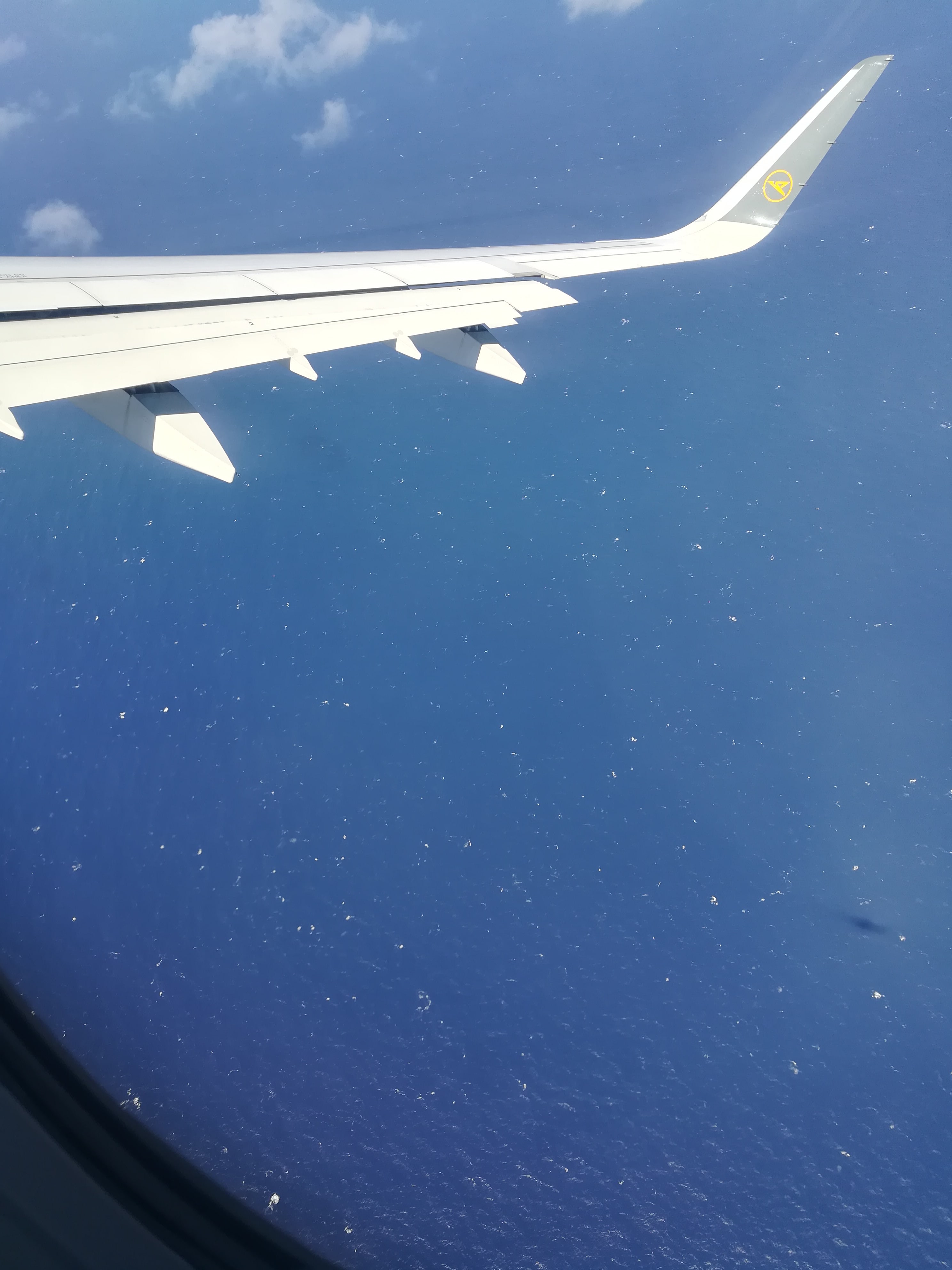 Flug nach La Palma während der Pandemie